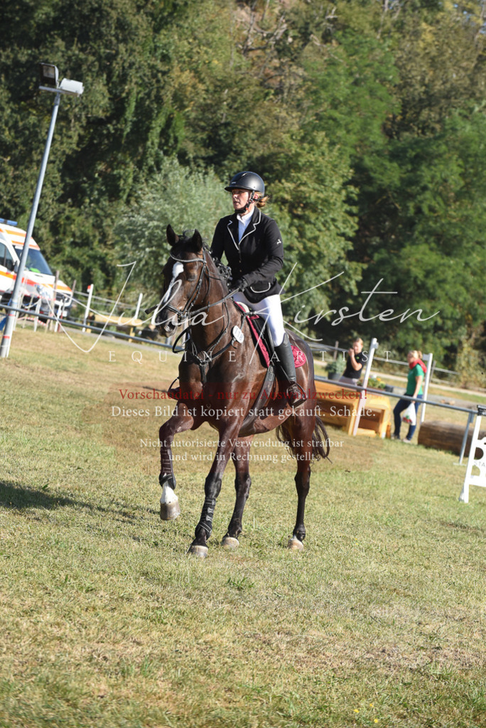 DSC_5386 | Pferde- und Turnierfotografie in Westsachsen. Pferdeportraits, Auftragszeichnungen und intuitive Kunst.