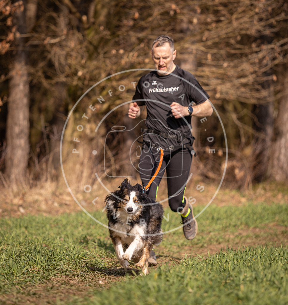 DV3A6401 | Hundefotografie, Tierfotograf, Pfotenfotografie, Fotoshooting Hund, Hunde Portrait, Hundesport, Hundeportraits, Heideshooting, Hunde, Sportfotograf, Hundefotograf, Turnierhundsport, THS,  - Realisiert mit Pictrs.com