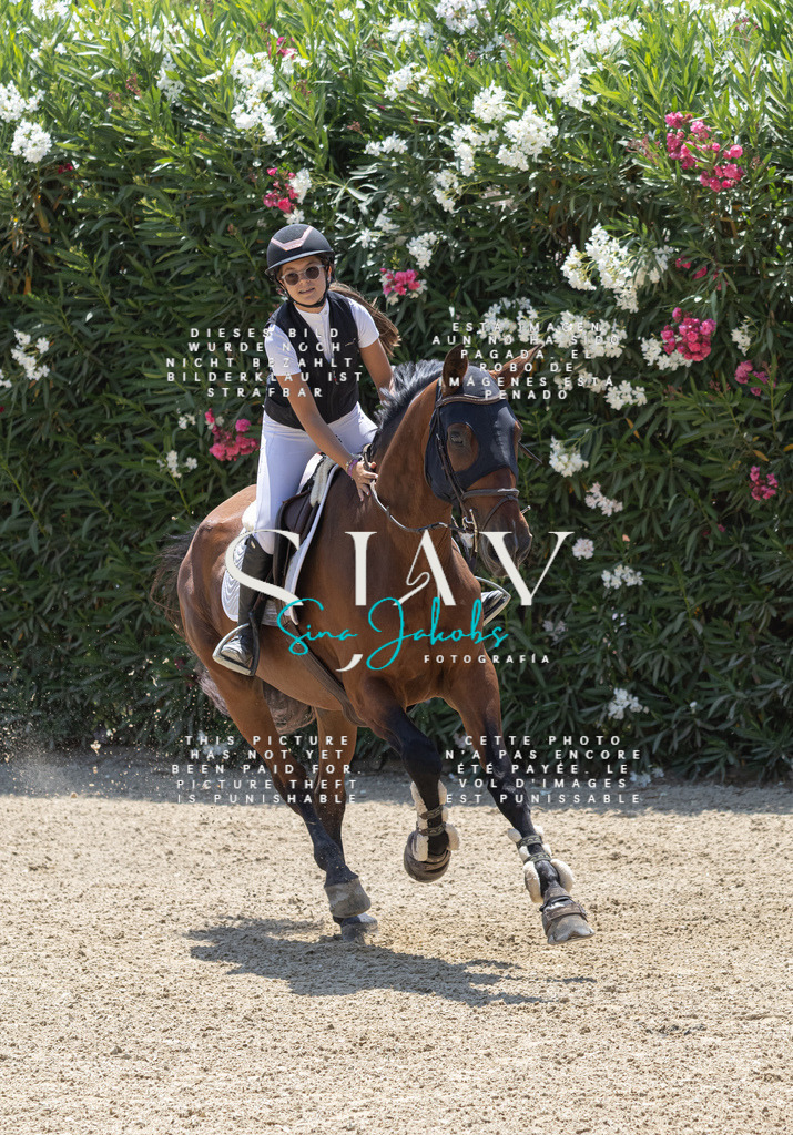 IMG_2568 | s-jay-photography - Realisiert mit Pictrs.com