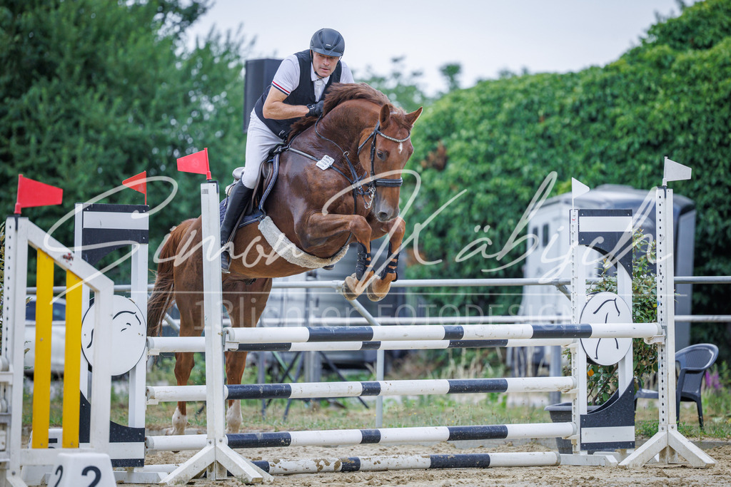 20260705-_3LI4337 | Tierfotografie Pferde, Hunde, Katzen, Haustiere.
Turnierfotografie Reitturniere, Reiten, Springreiten, Dressur in Hanau, dem Main-Kinzig-Kreis und dem Rhein-Main- Gebiet um Frankfurt