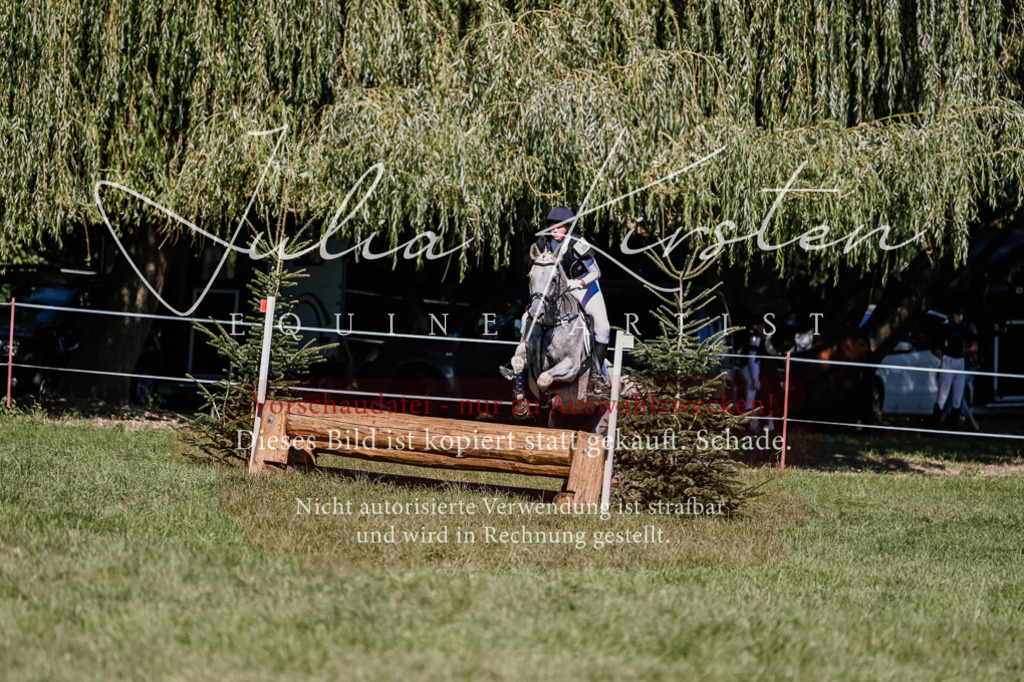 DSC_3022 | Pferde- und Turnierfotografie in Westsachsen. Pferdeportraits, Auftragszeichnungen und intuitive Kunst.