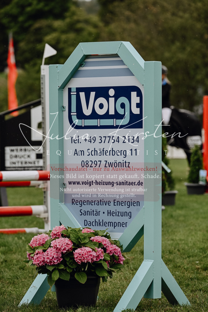 DSC_7085 | Pferde- und Turnierfotografie in Westsachsen. Pferdeportraits, Auftragszeichnungen und intuitive Kunst.