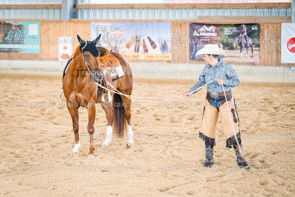 DSC00862 | Pferdegrafie