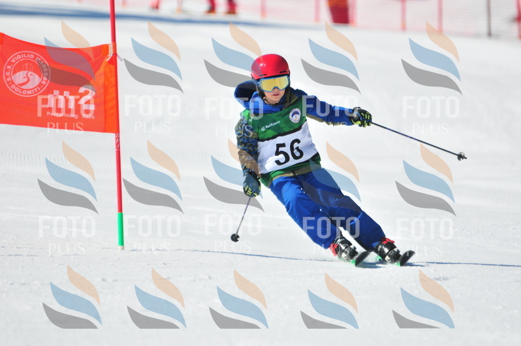 C2895 | holidayphoto