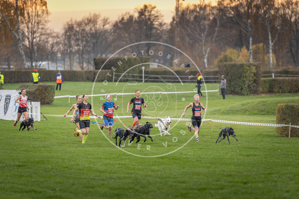 CaniXpix_DV3A6571 | Hundefotografie, Tierfotograf, Pfotenfotografie, Fotoshooting Hund, Hunde Portrait, Hundesport, Hundeportraits, Heideshooting, Hunde, Sportfotograf, Hundefotograf, Turnierhundsport, THS,  - Realisiert mit Pictrs.com