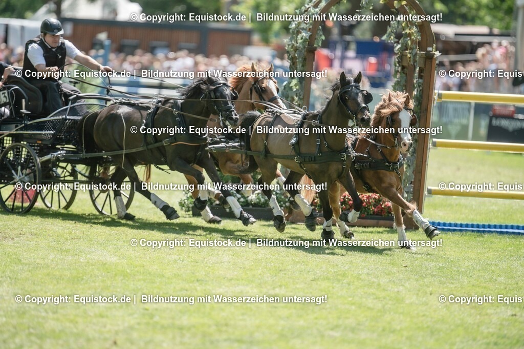 20230528_Jump-and-Drive_0184 | equistock