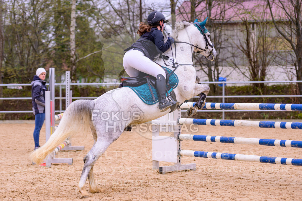 12042026-Mammendorf-Prfg43-0077 | Fokus Hufschlag Fotografie - Realisiert mit Pictrs.com