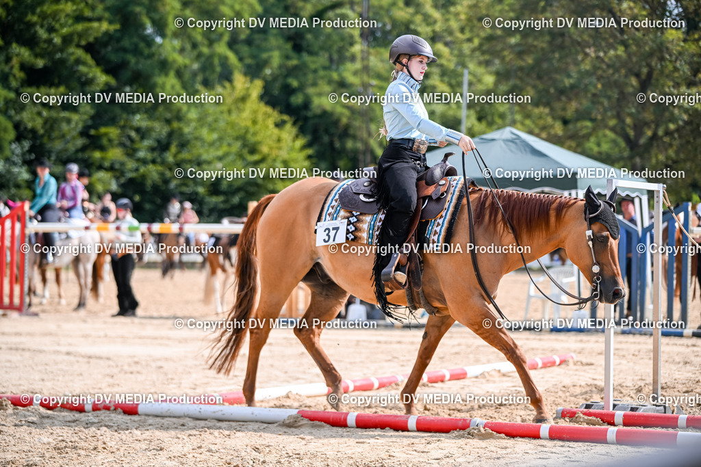 ZS2_3552 | dv-media-shop - Realisiert mit Pictrs.com