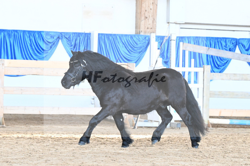 Kat-Nr. 19 Wattan von Neuhaeusler v. Wolfgang v d Roemer_Baumann_9260503 | hf-fotografie - Realisiert mit Pictrs.com