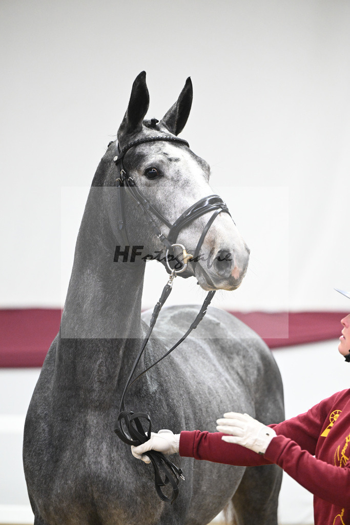 Kat-Nr. 97 Diamant De Semilly - Untouchable_Marian Mueller u Dr. Brigitte Seemann_47253157 | hf-fotografie - Realisiert mit Pictrs.com