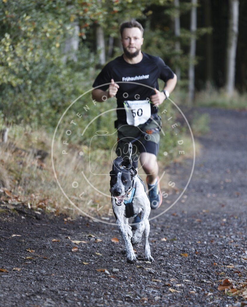 0L8A1778 | Hundefotografie, Tierfotograf, Pfotenfotografie, Fotoshooting Hund, Hunde Portrait, Hundesport, Hundeportraits, Heideshooting, Hunde, Sportfotograf, Hundefotograf, Turnierhundsport, THS,  - Realisiert mit Pictrs.com