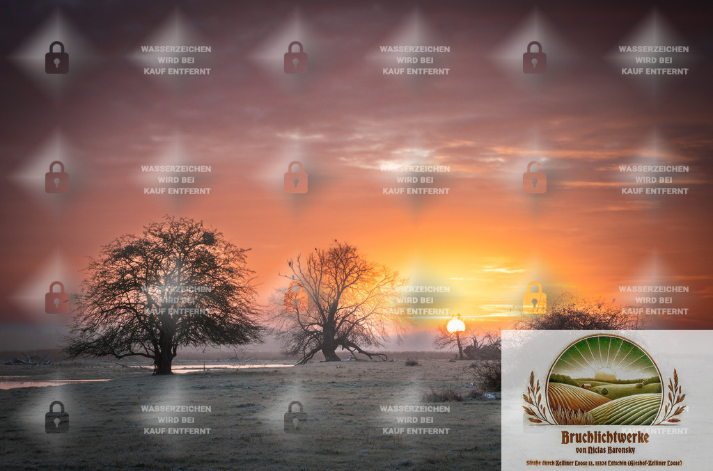 Adlersuche | Professioneller Fotograf mit 10 Jahren Erfahrung. Landschafts- und Hochzeitsfotografie im Oderbruch. Workshops und beeindruckende Bilder für besondere Momente.