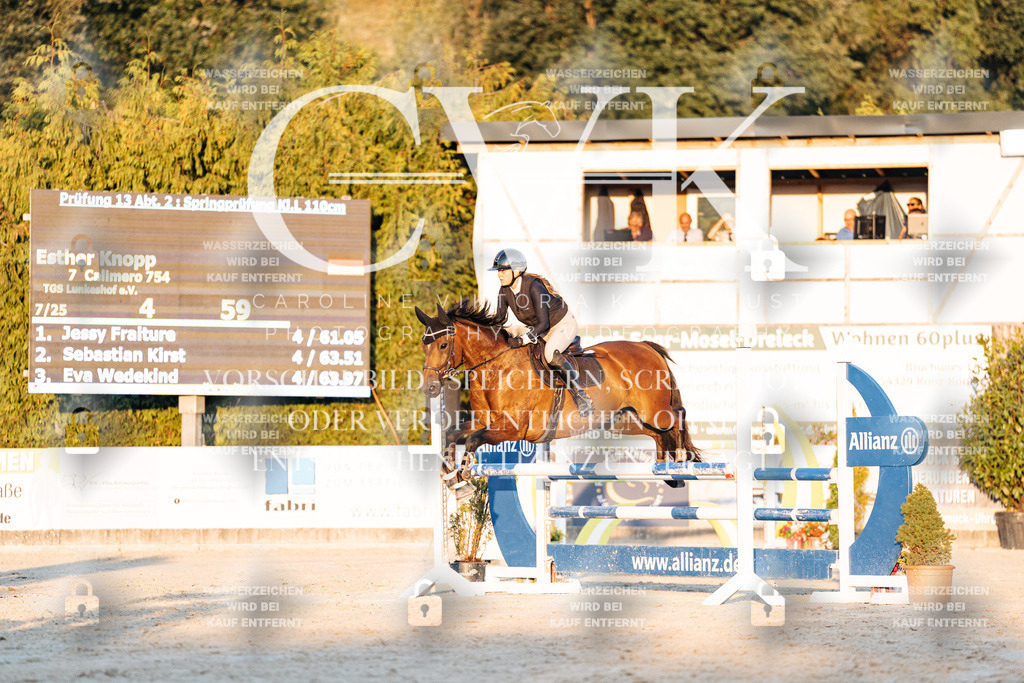 CK901187 | Turnierfotografie Pferdefotografie Trier Rheinland-Pfalz Pferdesport Reitsport Tierfotografie Sportfotografie Pferdevideo Pferdevideografie Equestrianvideography equestrianphotography  - Realisiert mit Pictrs.com