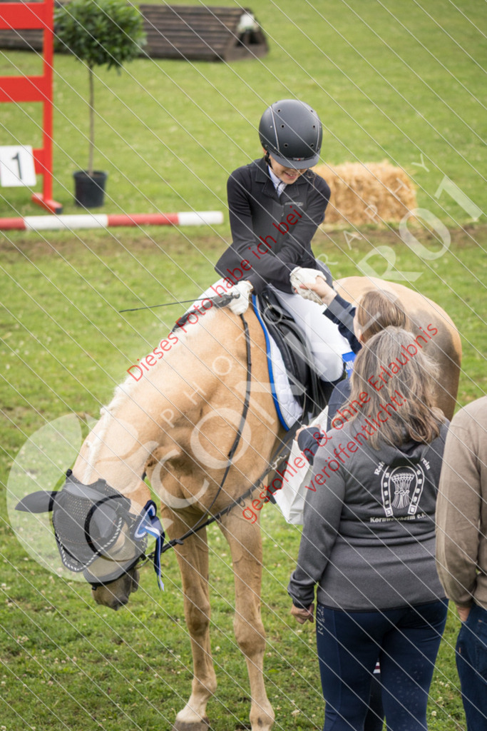IMG_1873 | Sport-, Event- und Tierfotos in Profiqualität. Einfach auswählen, bestellen und herunterladen. Dein Moment – perfekt festgehalten.