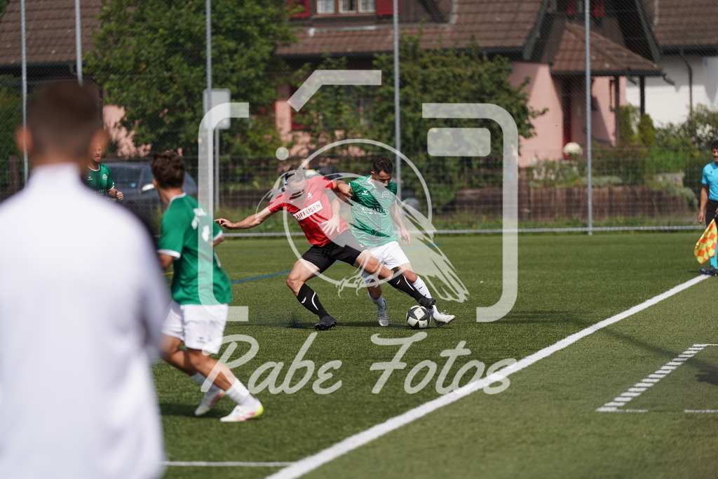 DSC08517 | rabefotos