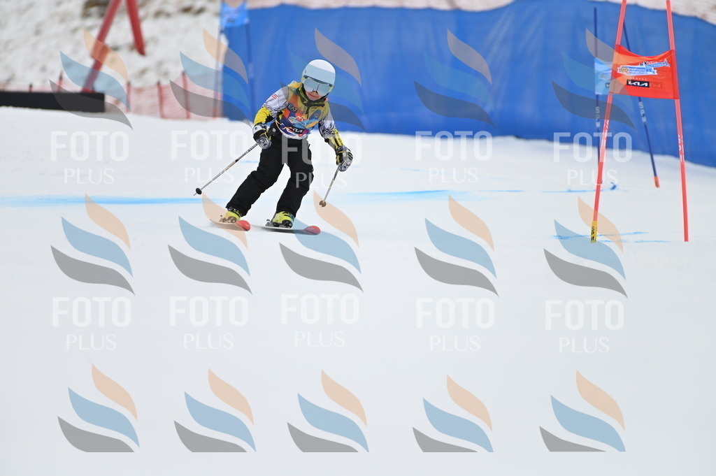 BGV_3007 | holidayphoto