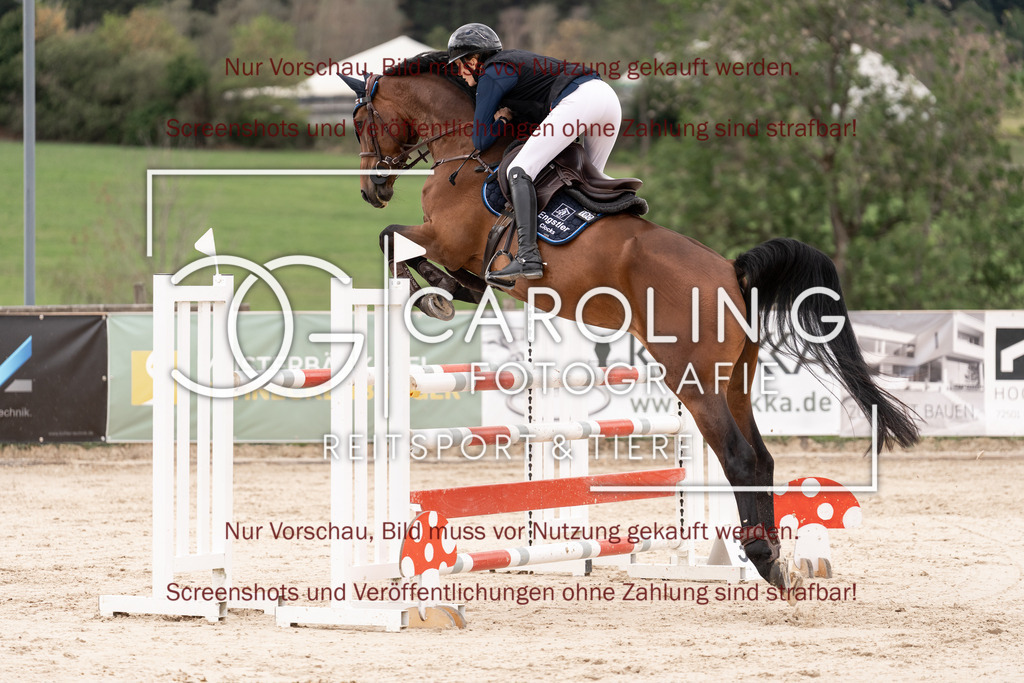 DSC06511 | Springturnier_Teamchallege_Talheim_2026, Leah_Engstler, Comfort_von_Worrenberg