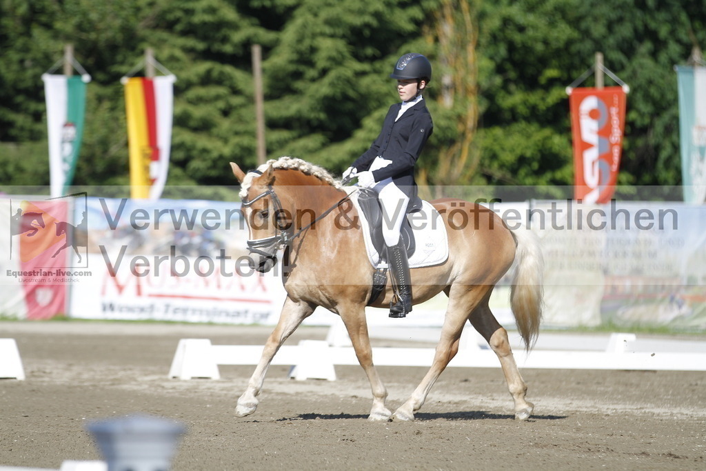 _MG_0535 | equestrian-live-com