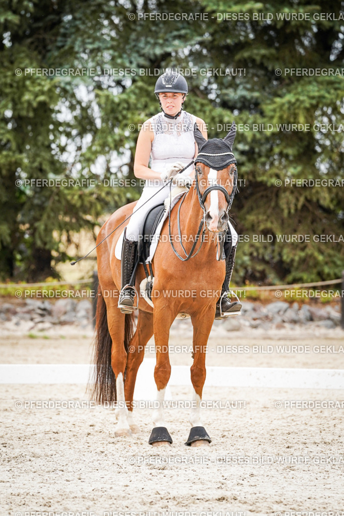 DSC08034 | Pferdegrafie