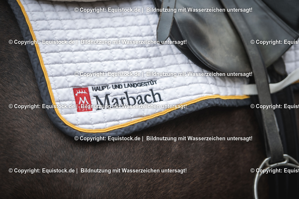 20241013_Jagd-Marbach_0044 | Foto: Thomas Hartig