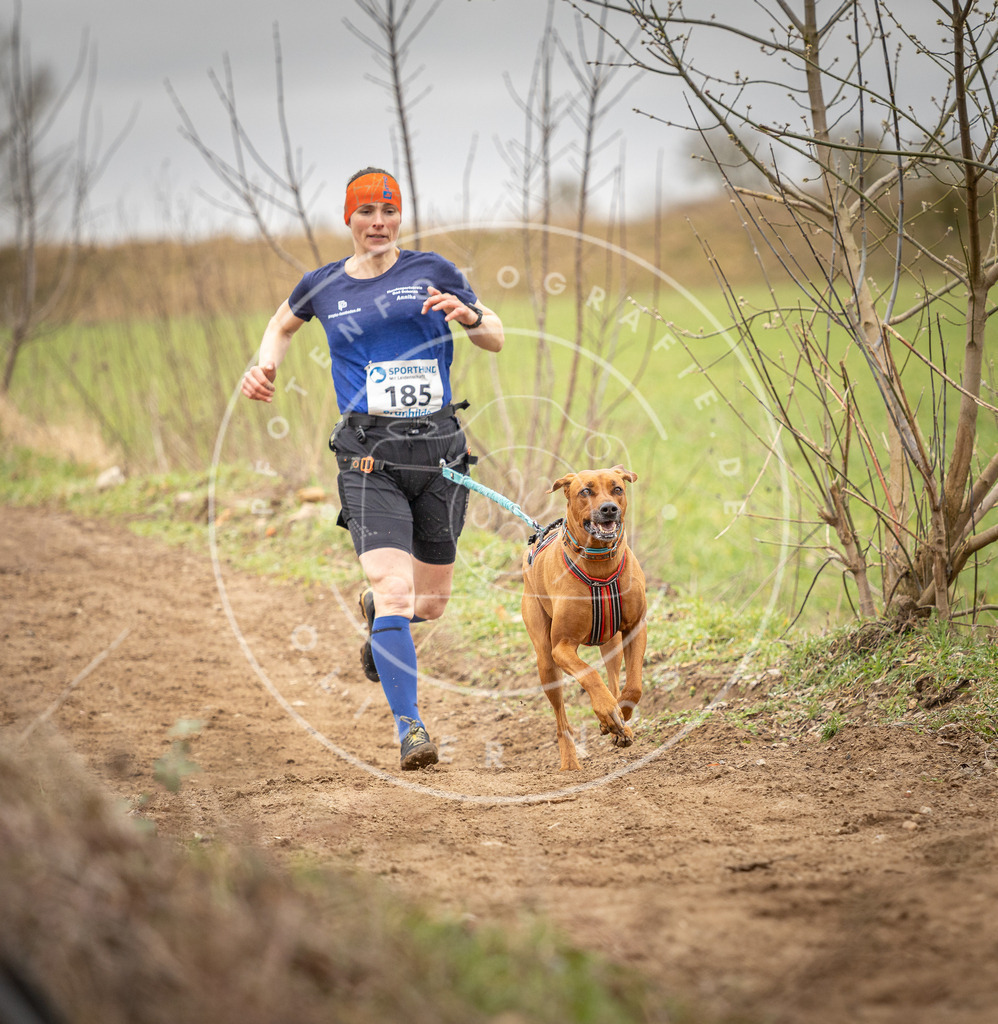 DV3A2143 | Hundefotografie, Tierfotograf, Pfotenfotografie, Fotoshooting Hund, Hunde Portrait, Hundesport, Hundeportraits, Heideshooting, Hunde, Sportfotograf, Hundefotograf, Turnierhundsport, THS,  - Realisiert mit Pictrs.com