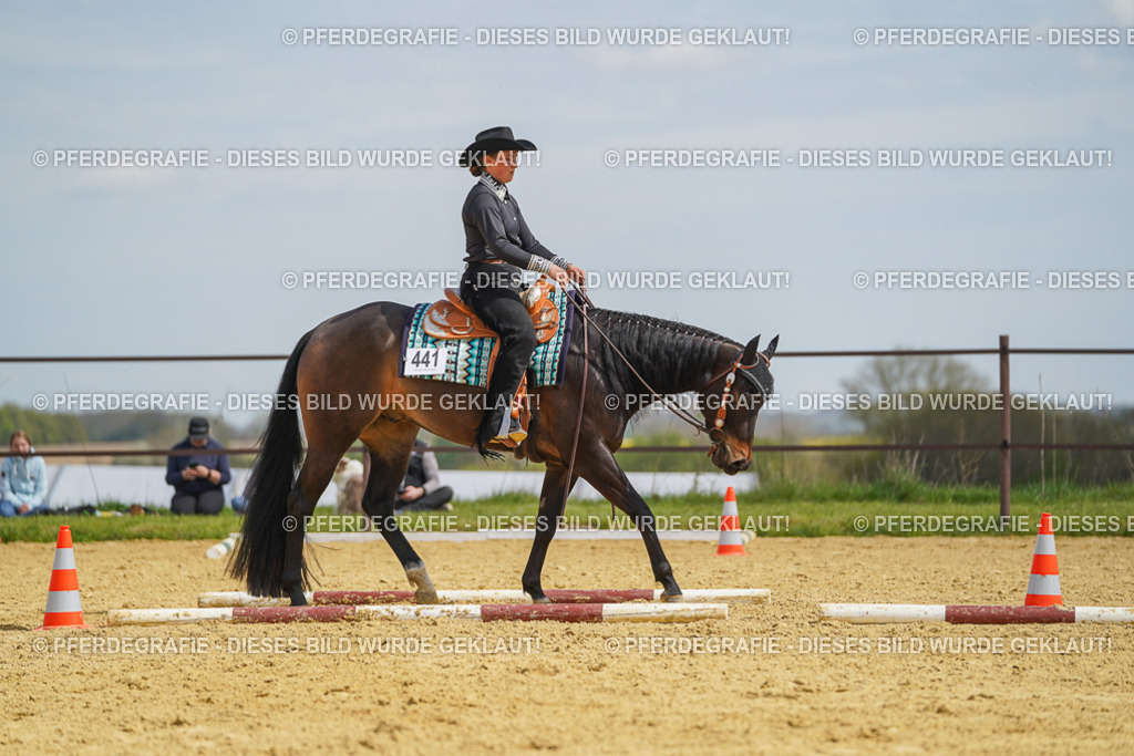 DSC05312 | Pferdegrafie