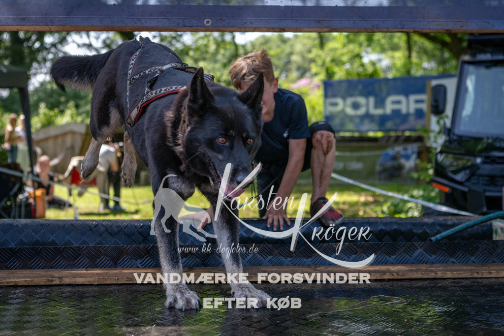 1348_ZZ92254 | kk-dogfotos