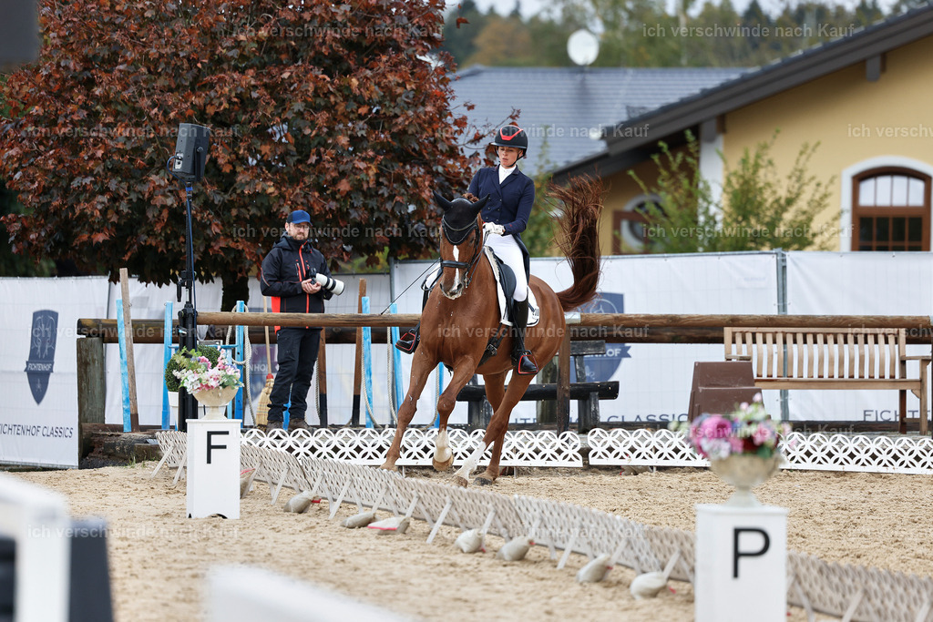 12-238-DRESSUR  S___  -StoibPH-5304 | working equitationturnier fotograf videograf stoibphotography marixx film working equitation deutschland reitsport turnierfotografie eventfotografie equestrian events