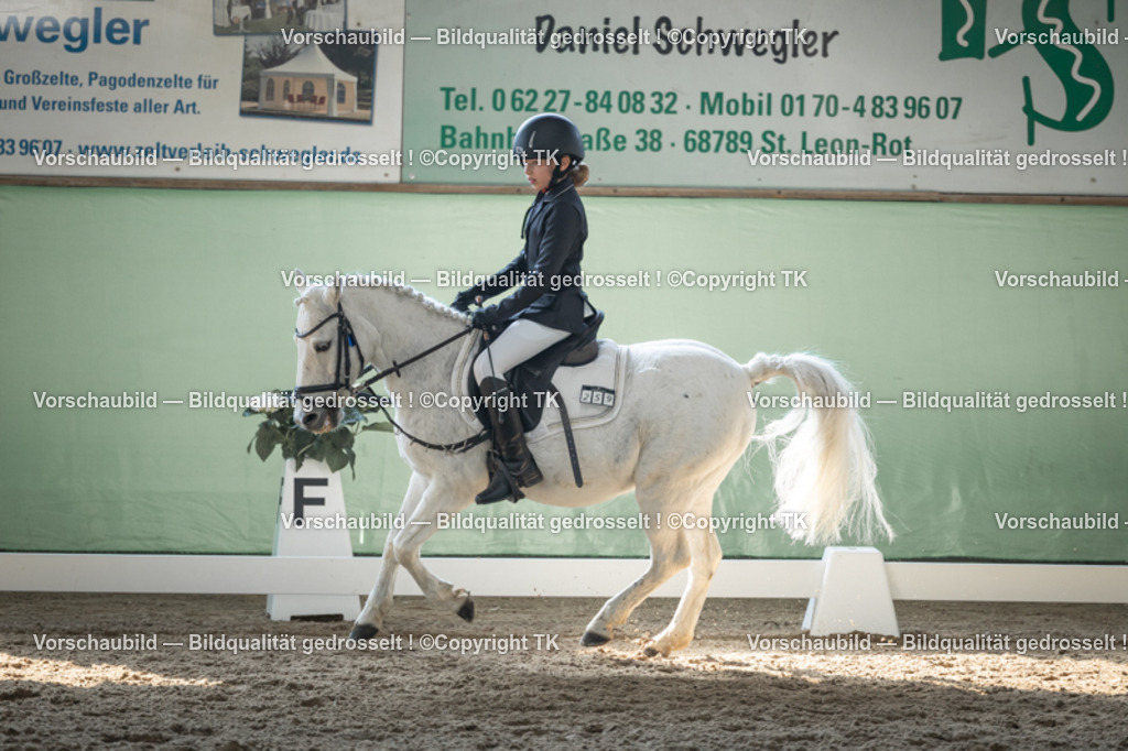 _D5A8763 | Emotionale Pferde- & People-Fotografie rund um Heidelberg, Leimen & Umgebung. Natürliche Fotos von Pferd, Mensch & Familie. Jetzt Termin sichern!