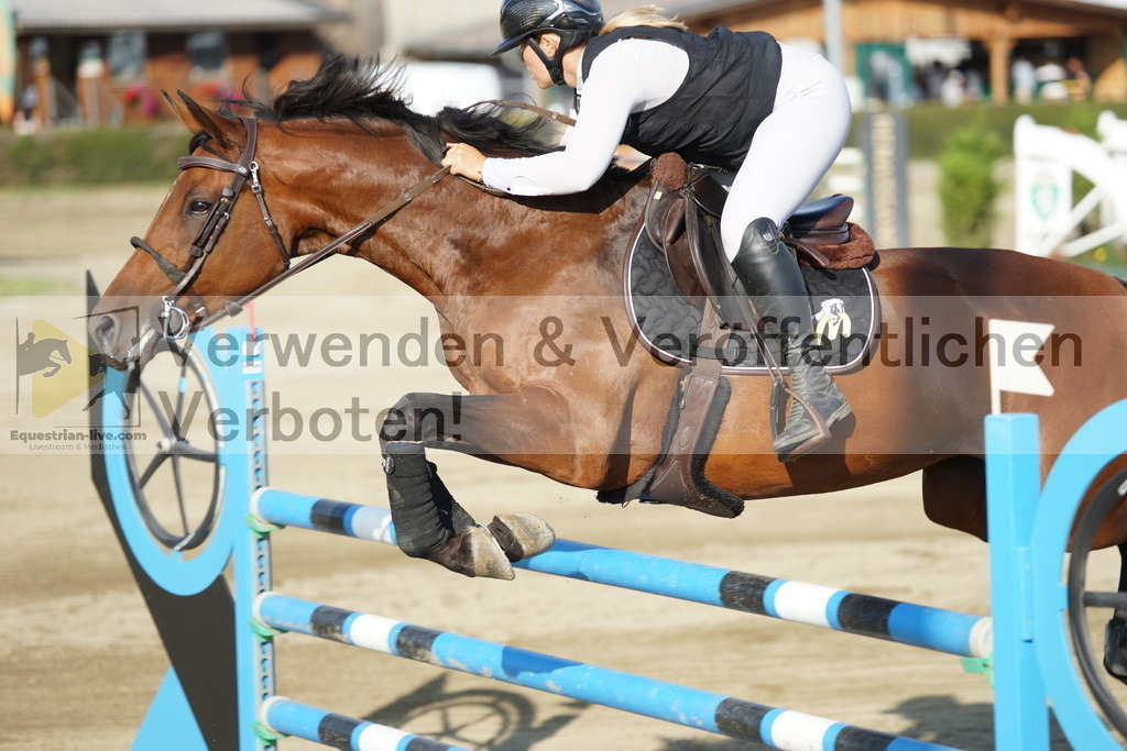 DSC00632 | equestrian-live-com