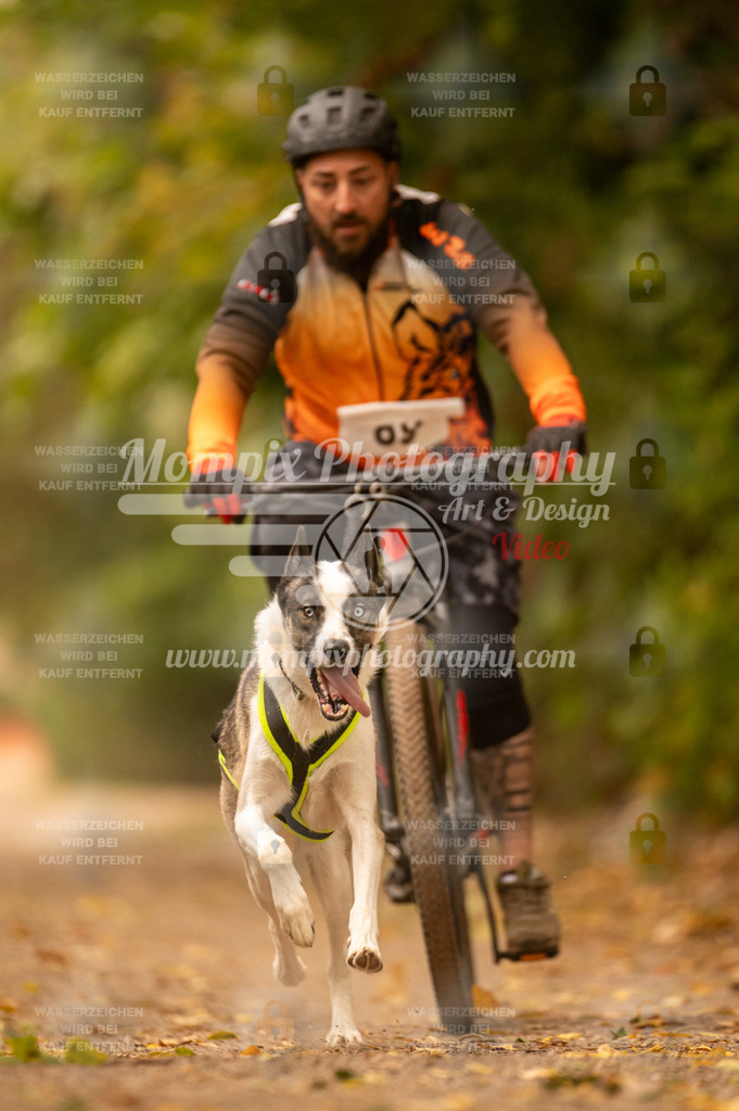 CDLBDB_14_10_2023_Samedi-123 | PayLife