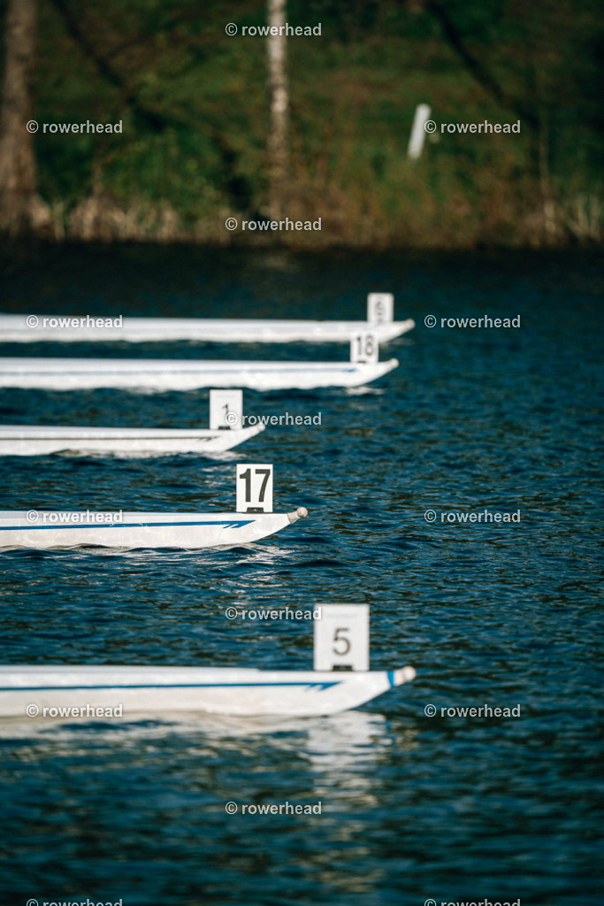 20251004_rowerhead_R014_S0379_DSC04708 | rowerhead - Realisiert mit Pictrs.com