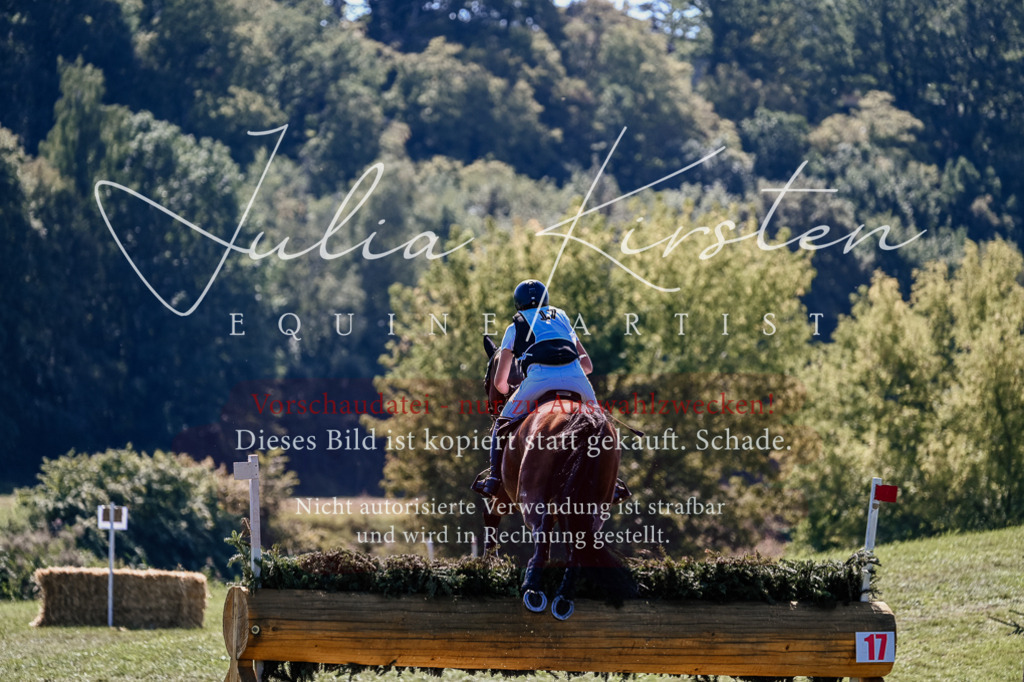 DSC_2017 | Pferde- und Turnierfotografie in Westsachsen. Pferdeportraits, Auftragszeichnungen und intuitive Kunst.