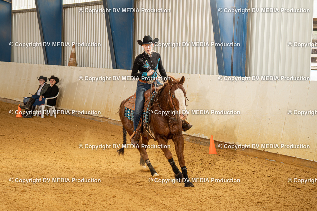 MIT00090 | dv-media-shop - Realisiert mit Pictrs.com