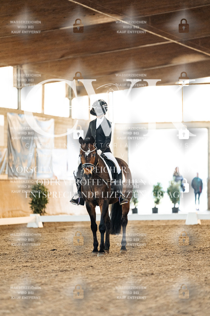 CK906656 | Turnierfotografie Pferdefotografie Trier Rheinland-Pfalz Pferdesport Reitsport Tierfotografie Sportfotografie Pferdevideo Pferdevideografie Equestrianvideography equestrianphotography  - Realisiert mit Pictrs.com