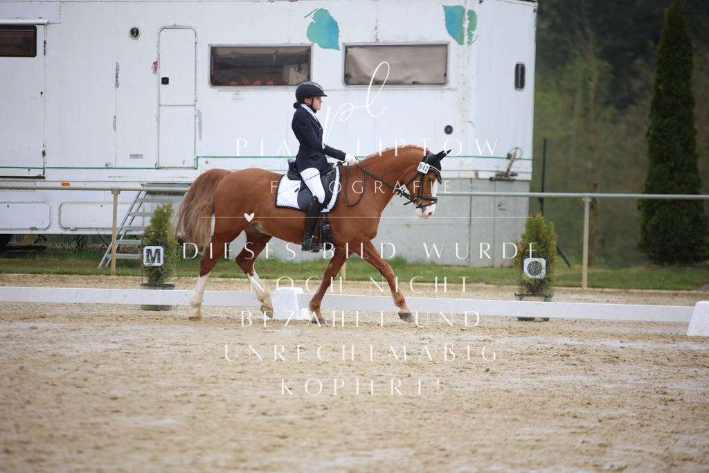 IMGT3971 | pl-fotografie