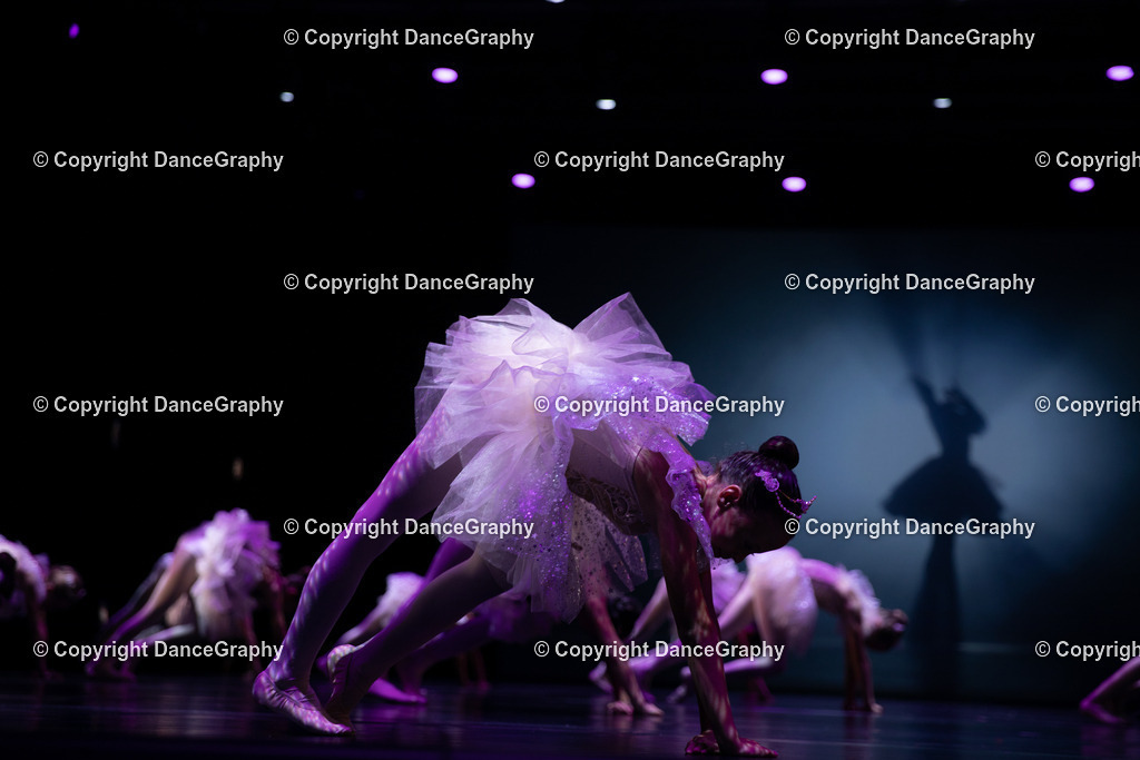 GPHY5237 | DanceGraphy - Realisiert mit Pictrs.com