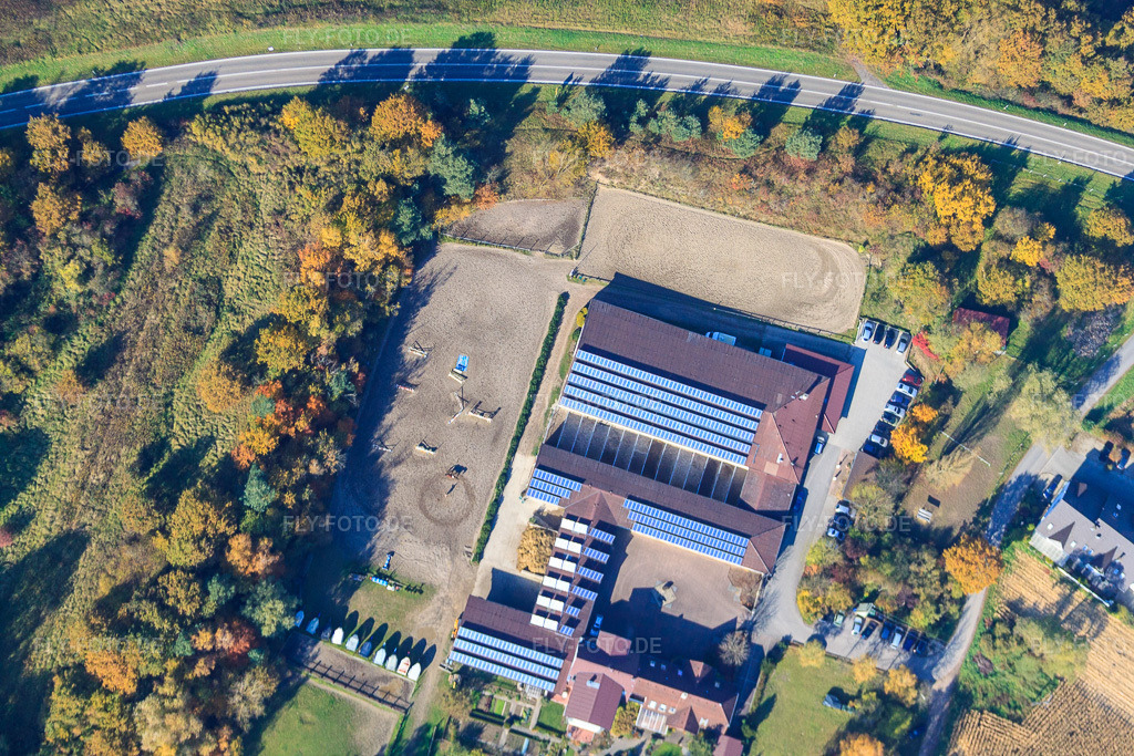 Luftbild: Pferdehof in Hagenbach im Bundesland Rheinland-Pfalz in Deutschland. Foto: IMG_35389.jpg vom 31.10.2010 durch Werner Riehm/FLY-FOTO.de