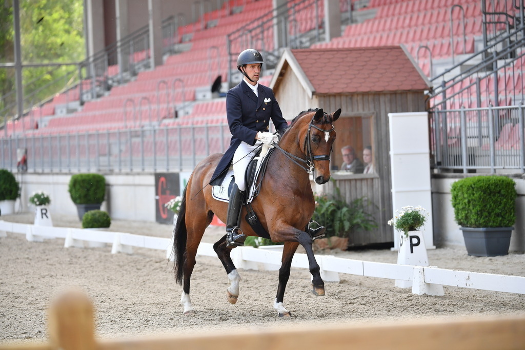 AntsBredemeier-24-94 | Der professionelle Turnierfotograf ✓ Reitsport Bilder ▷ Shop ✚ günstig & schnell ✚ mit Zugang für Redakteure