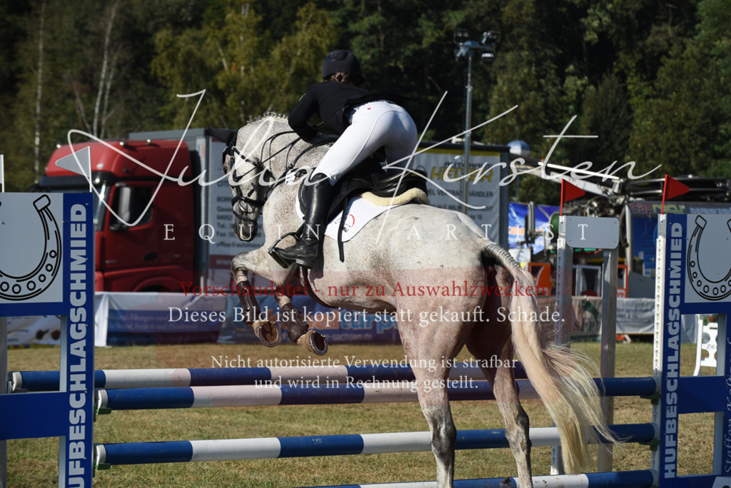 DSC_5269 | Pferde- und Turnierfotografie in Westsachsen. Pferdeportraits, Auftragszeichnungen und intuitive Kunst.