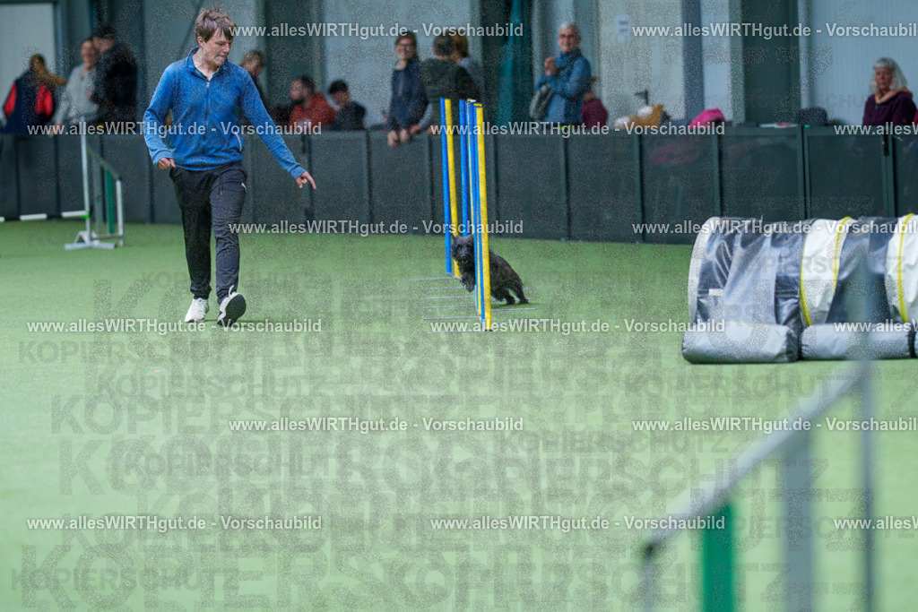 @allesWIRTHgut_Tierfotografie - www.allesWIRTHgut.de - 2604251128-7R500719 | Professionelle Tierfotografie in Mönchengladbach von Daniel Wirth (allesWIRTHgut). Liebevolle & natürliche Bilder von Hunden & Katzen für unvergessliche Erinnerungen.