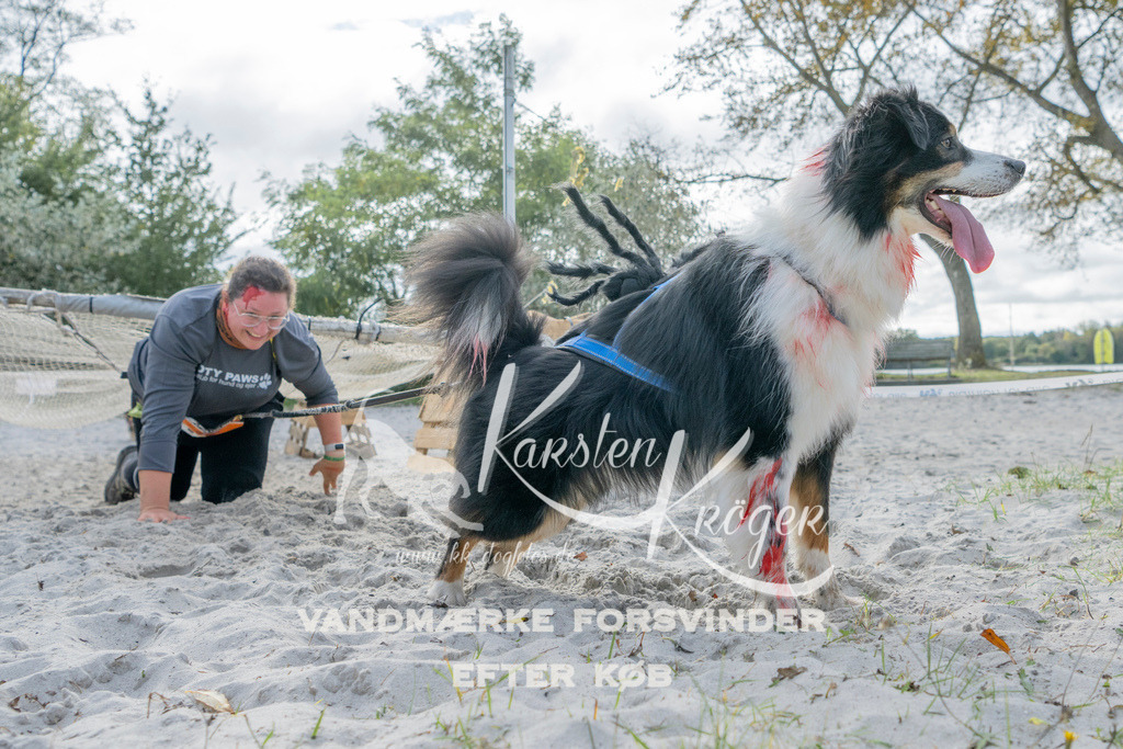 1233_ZZ91958 | kk-dogfotos