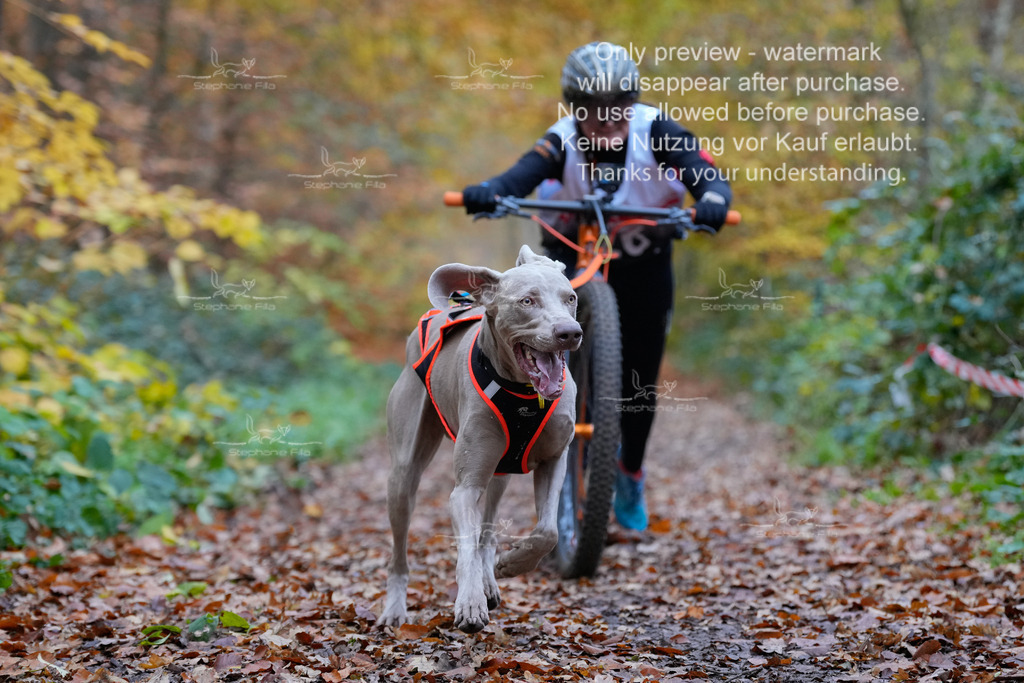 Scooter_So-32 | stephaniefillaphotographie - Realisiert mit Pictrs.com