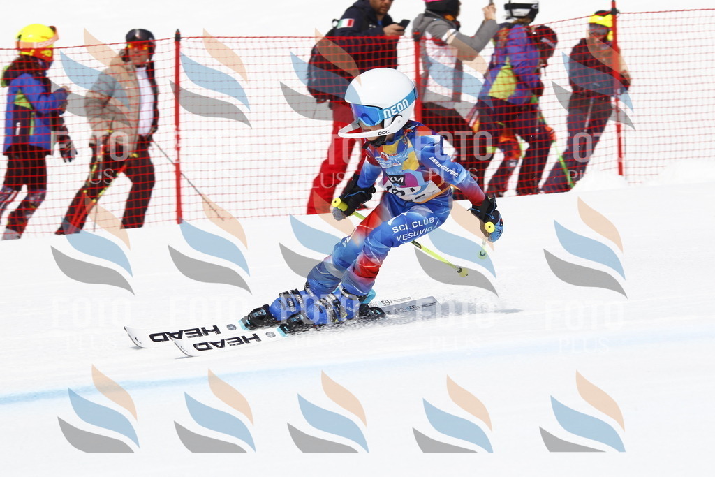 _U3G4768 | holidayphoto