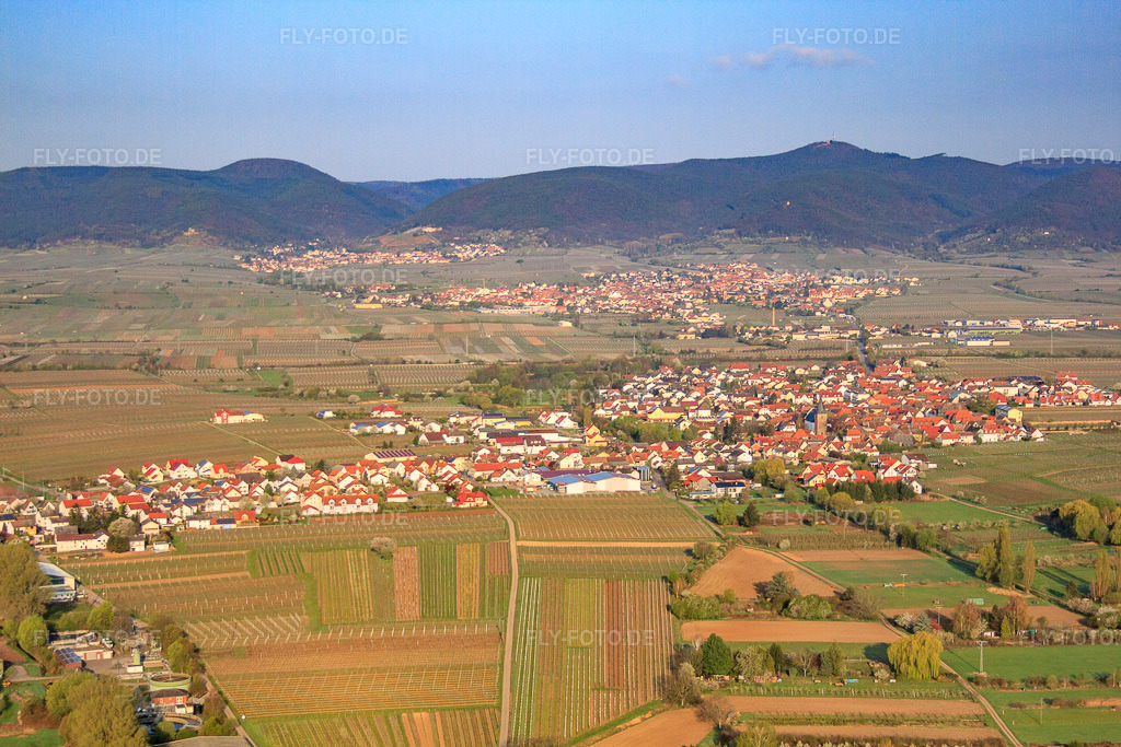 Luftbild: Dorfansicht von Osten in Kirrweiler im Bundesland Rheinland-Pfalz in Deutschland. Foto: IMG_49602.jpg vom 13.04.2012 durch Werner Riehm/FLY-FOTO.de