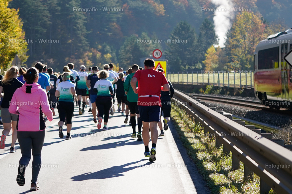 20221016 Piestingtal Lauf 2022-73 | Fotografie Woldron