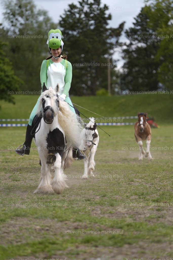 PI26_Show_BTS_StoibphotographyPI26_Show_BTS_Stoibph_DSC0892.JPG.JPG | working equitationturnier fotograf videograf stoibphotography marixx film working equitation deutschland reitsport turnierfotografie eventfotografie equestrian events