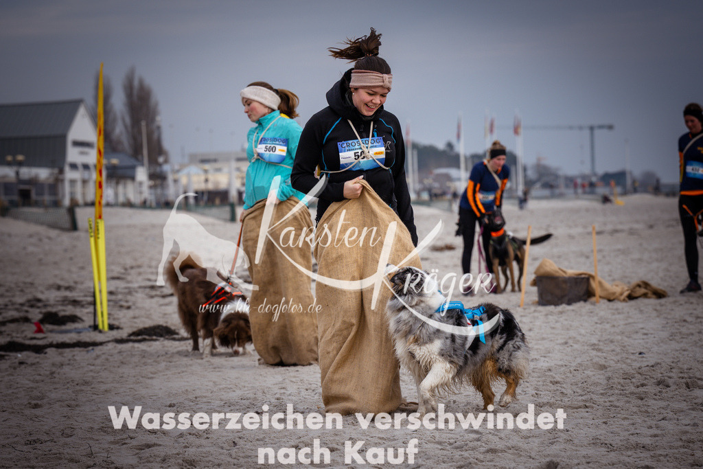1255_ZZ97010 | kk-dogfotos