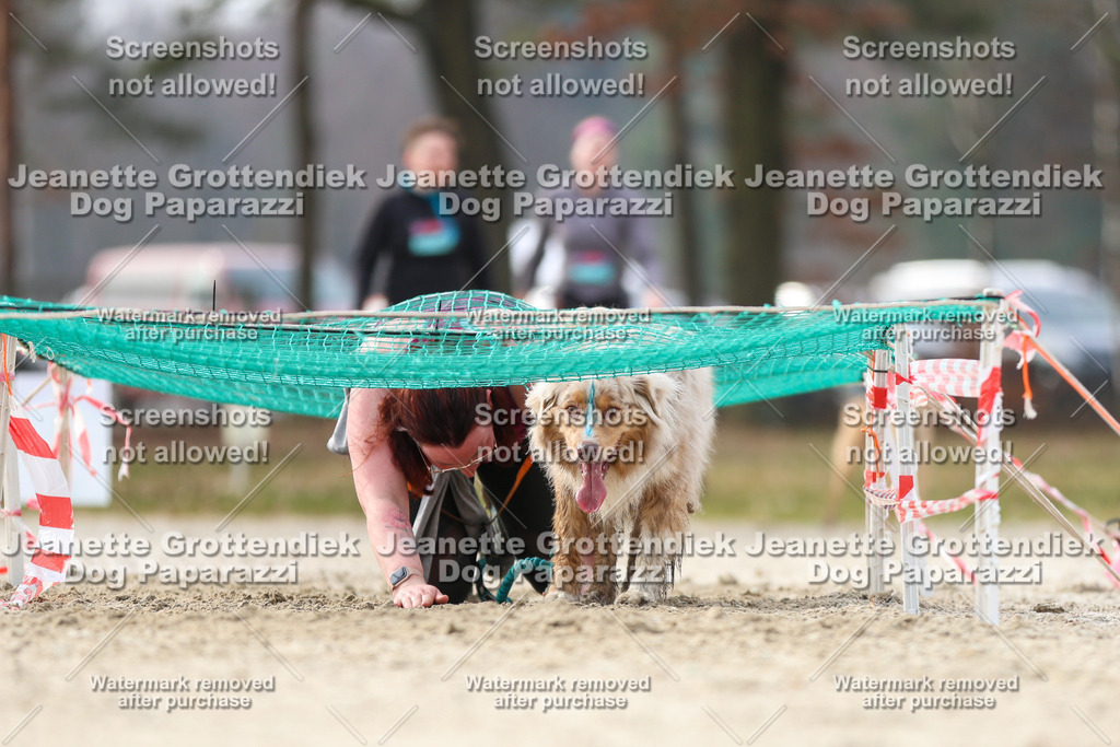 Dog Paparazzi - Strongdog North Mrz26-5262 | Dog Paparazzi Jeanette Grottendiek Fotografie & Videografie - Realisiert mit Pictrs.com
