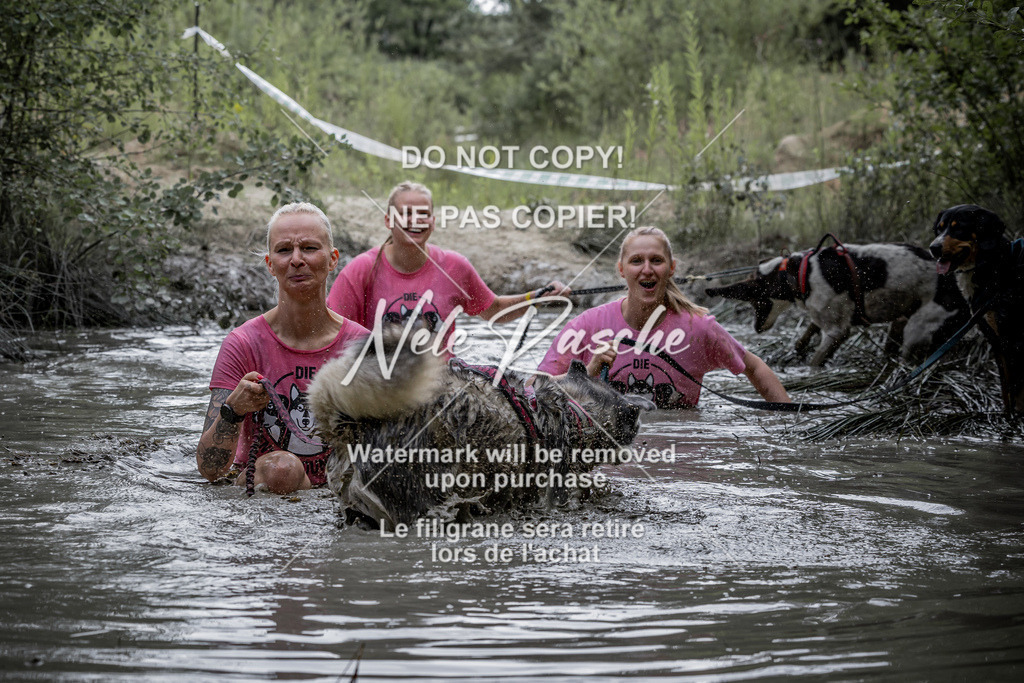 nelerasche_so1230-1300_15 | nelerasche